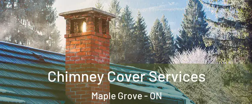  Chimney Cover Services Maple Grove - ON