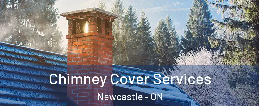  Chimney Cover Services Newcastle - ON