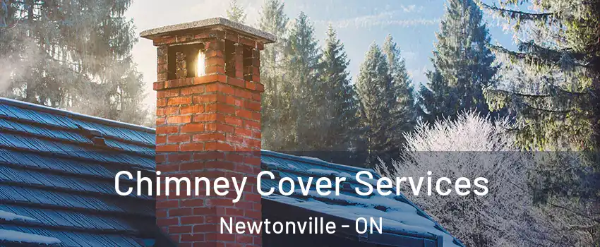  Chimney Cover Services Newtonville - ON