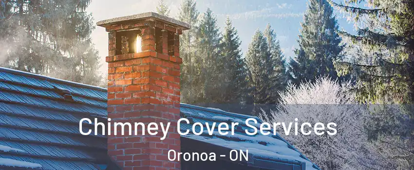  Chimney Cover Services Oronoa - ON