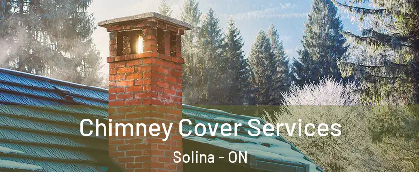  Chimney Cover Services Solina - ON