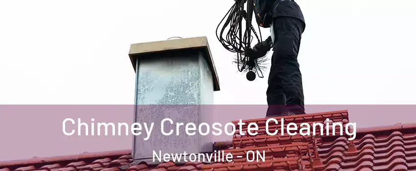  Chimney Creosote Cleaning Newtonville - ON