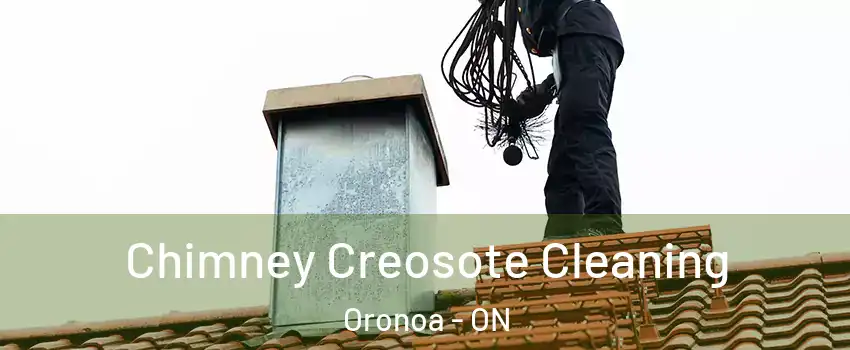  Chimney Creosote Cleaning Oronoa - ON