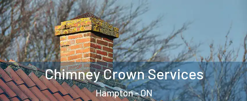  Chimney Crown Services Hampton - ON
