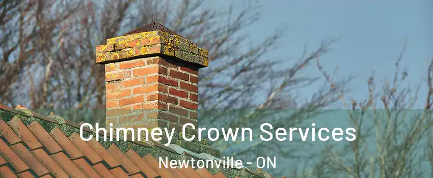  Chimney Crown Services Newtonville - ON