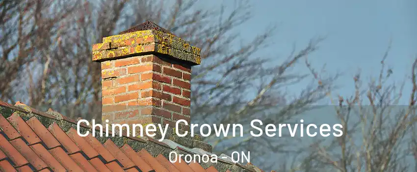  Chimney Crown Services Oronoa - ON
