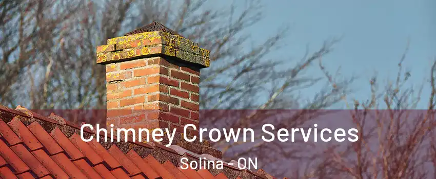  Chimney Crown Services Solina - ON
