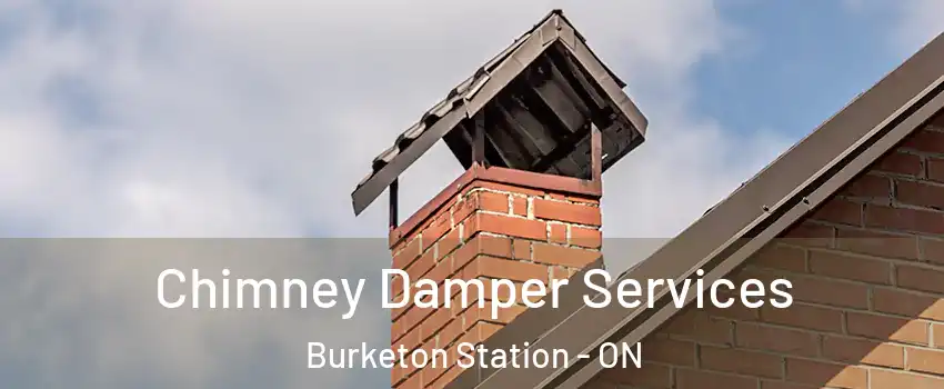  Chimney Damper Services Burketon Station - ON