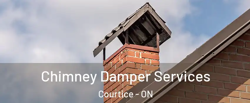  Chimney Damper Services Courtice - ON
