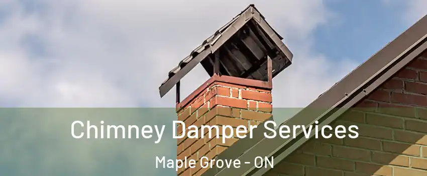  Chimney Damper Services Maple Grove - ON