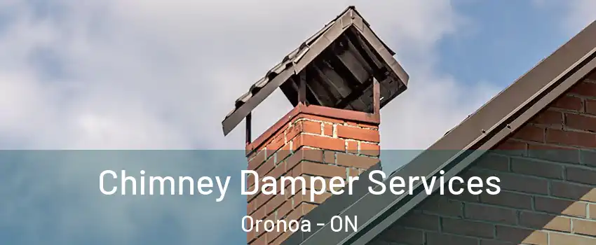  Chimney Damper Services Oronoa - ON