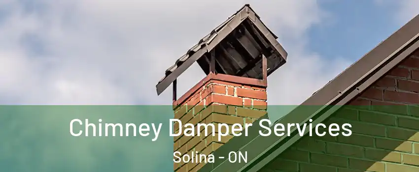  Chimney Damper Services Solina - ON