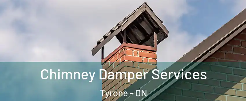 Chimney Damper Services Tyrone - ON