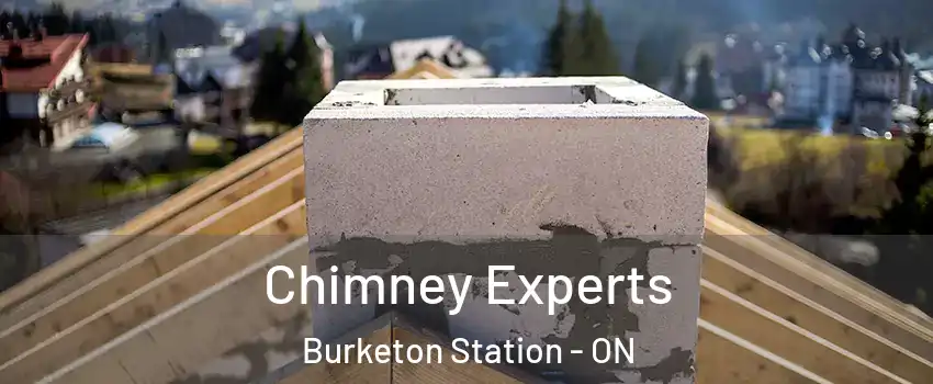 Chimney Experts Burketon Station - ON