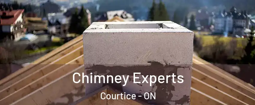 Chimney Experts Courtice - ON