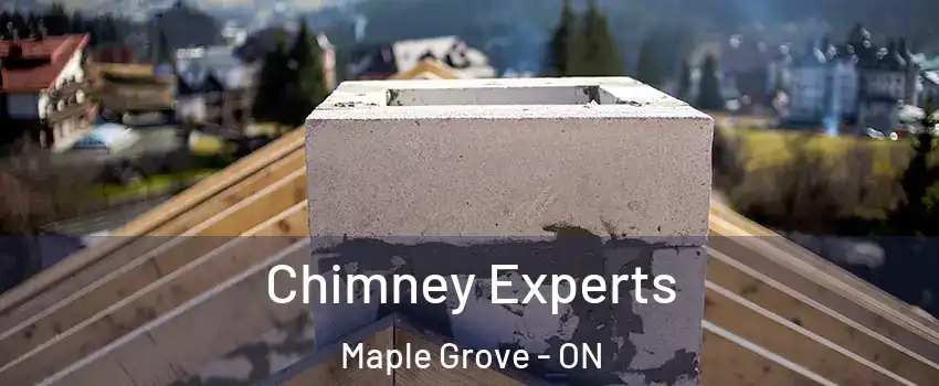 Chimney Experts Maple Grove - ON