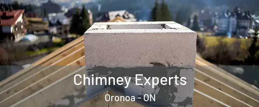 Chimney Experts Oronoa - ON
