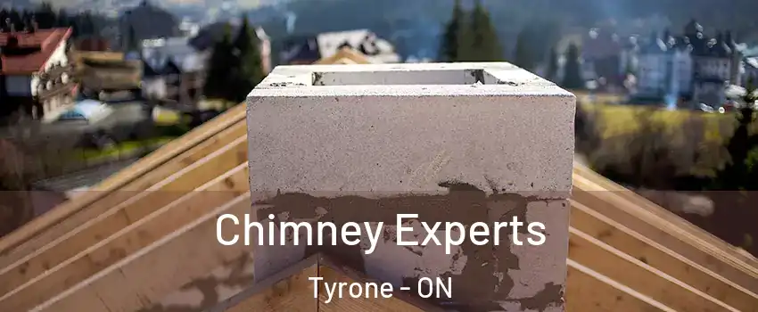 Chimney Experts Tyrone - ON