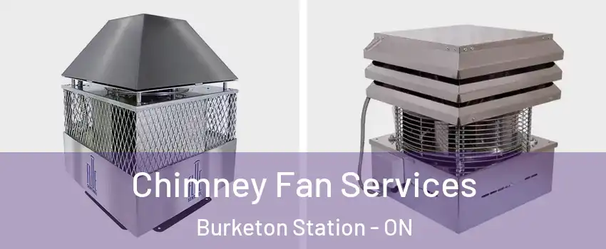  Chimney Fan Services Burketon Station - ON