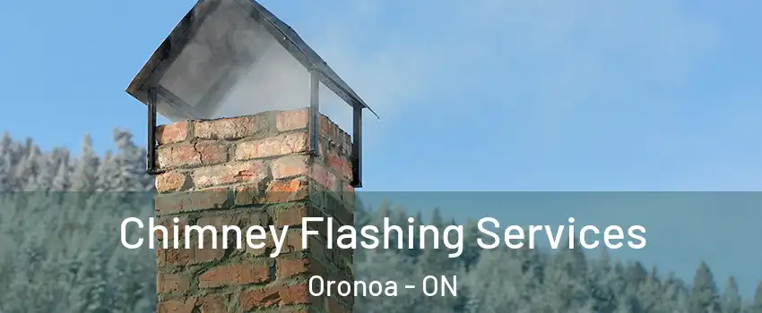 Chimney Flashing Services Oronoa - ON