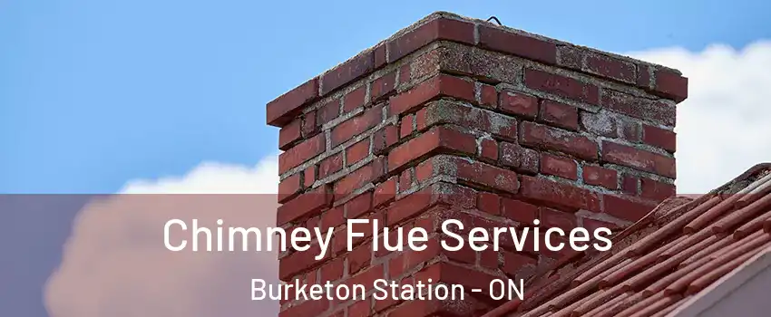  Chimney Flue Services Burketon Station - ON