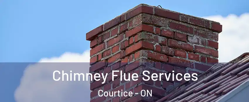  Chimney Flue Services Courtice - ON