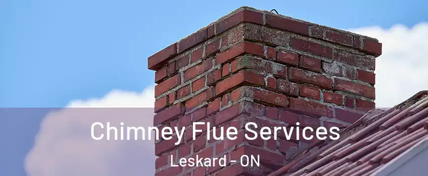  Chimney Flue Services Leskard - ON
