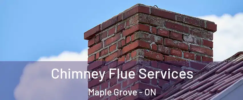  Chimney Flue Services Maple Grove - ON
