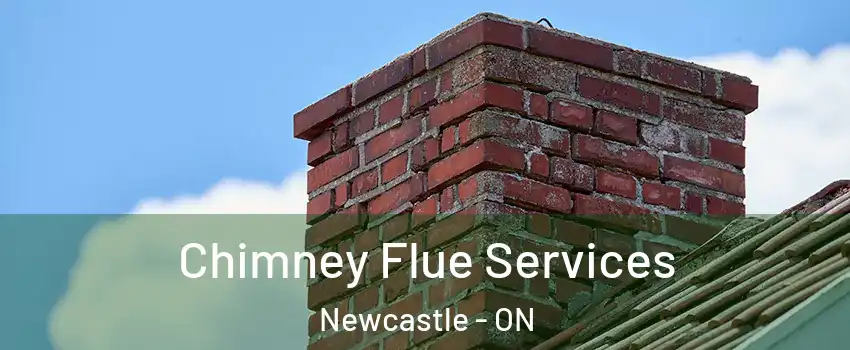  Chimney Flue Services Newcastle - ON
