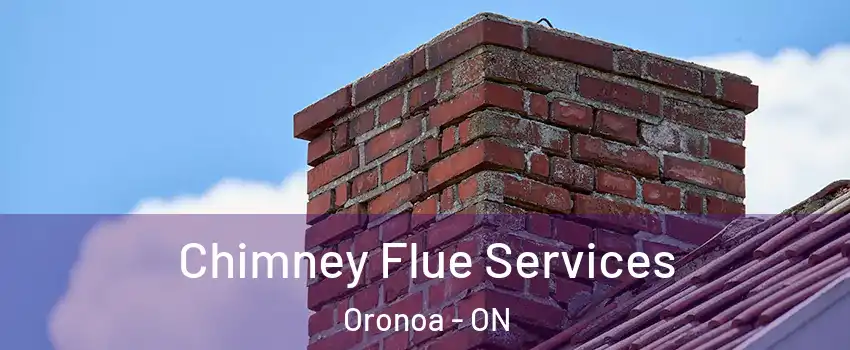  Chimney Flue Services Oronoa - ON