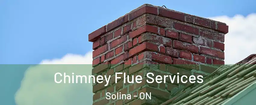  Chimney Flue Services Solina - ON