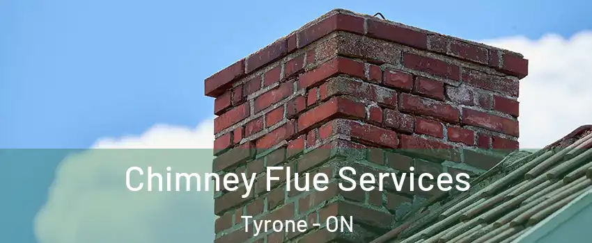  Chimney Flue Services Tyrone - ON