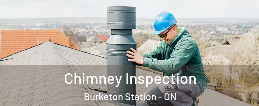  Chimney Inspection Burketon Station - ON