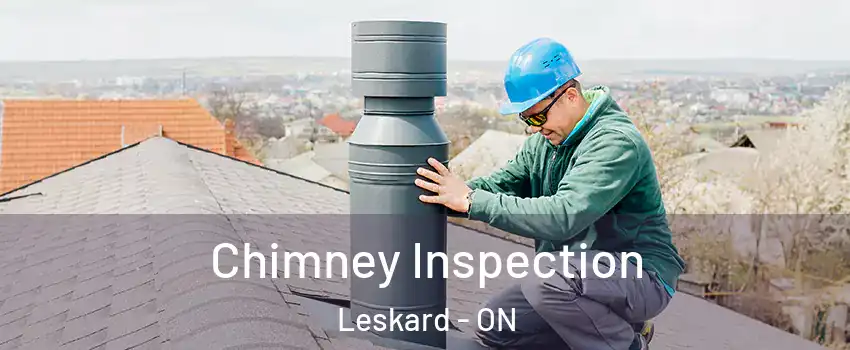  Chimney Inspection Leskard - ON