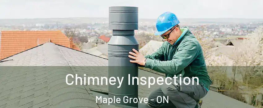  Chimney Inspection Maple Grove - ON