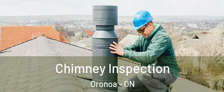  Chimney Inspection Oronoa - ON