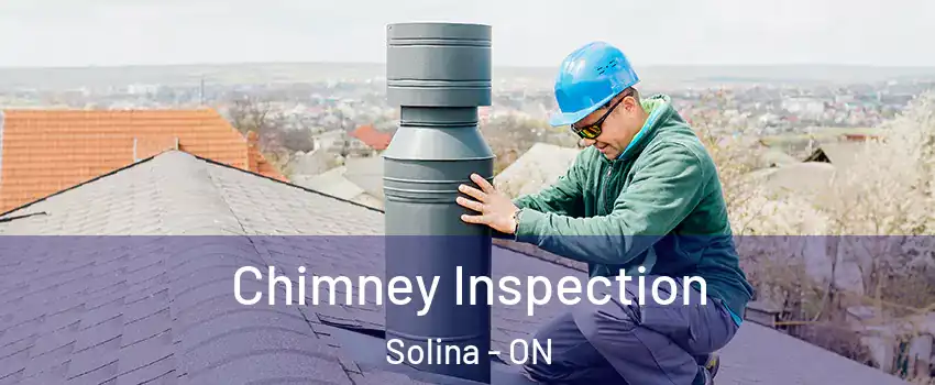  Chimney Inspection Solina - ON