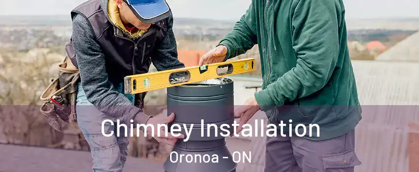  Chimney Installation Oronoa - ON