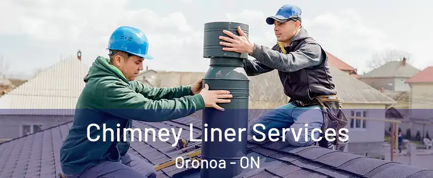 Chimney Liner Services Oronoa - ON