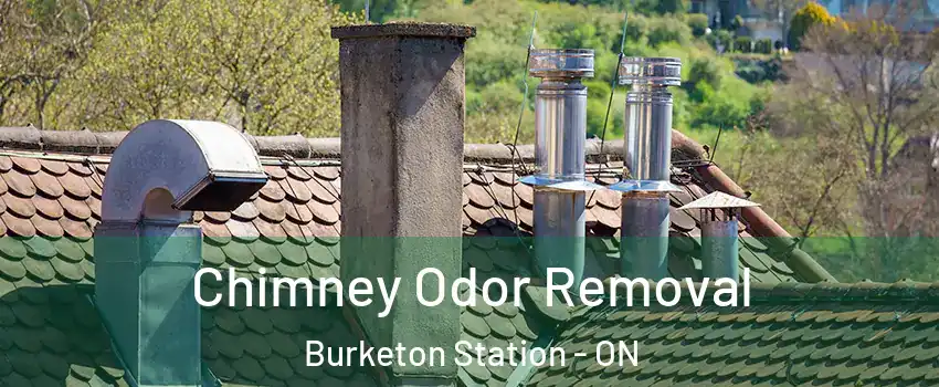  Chimney Odor Removal Burketon Station - ON