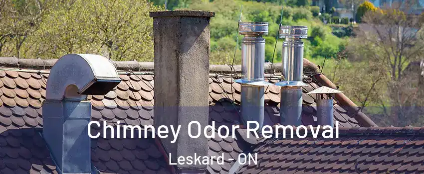  Chimney Odor Removal Leskard - ON