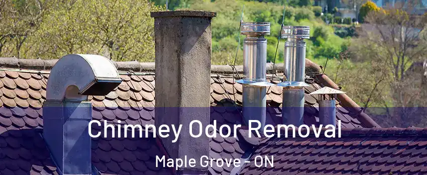  Chimney Odor Removal Maple Grove - ON