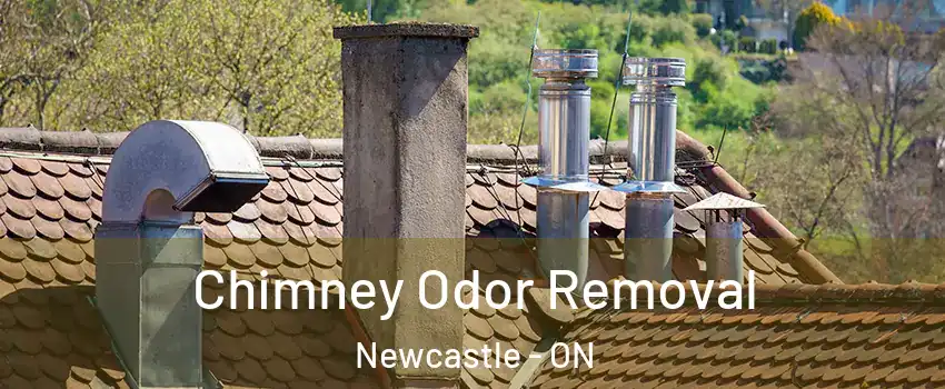  Chimney Odor Removal Newcastle - ON