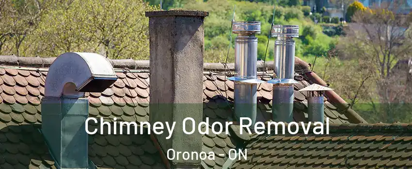  Chimney Odor Removal Oronoa - ON