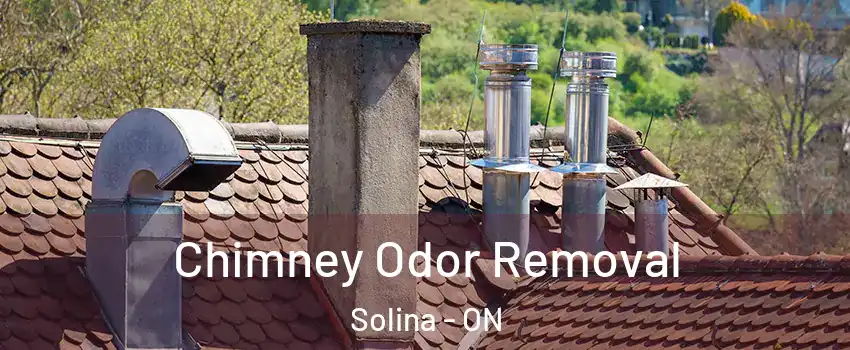  Chimney Odor Removal Solina - ON