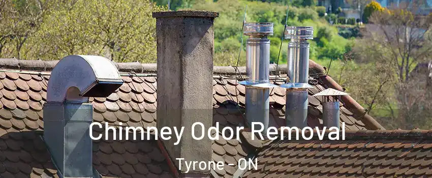  Chimney Odor Removal Tyrone - ON