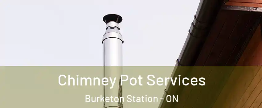  Chimney Pot Services Burketon Station - ON