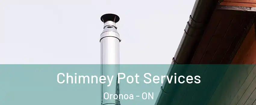  Chimney Pot Services Oronoa - ON