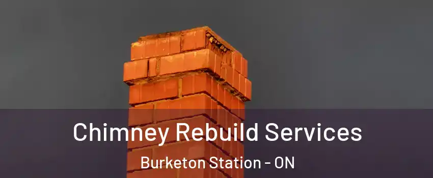  Chimney Rebuild Services Burketon Station - ON