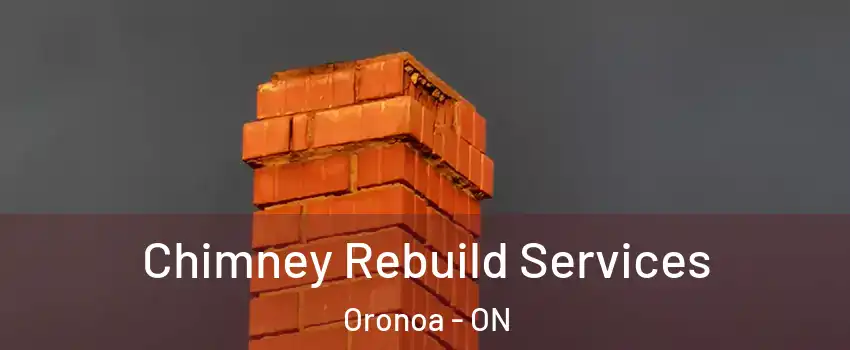  Chimney Rebuild Services Oronoa - ON